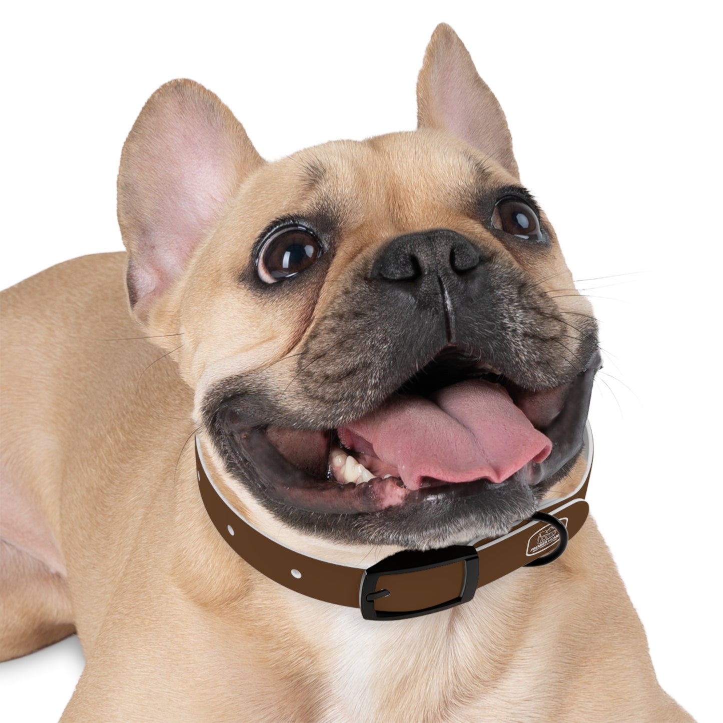 Dog Collar - Home