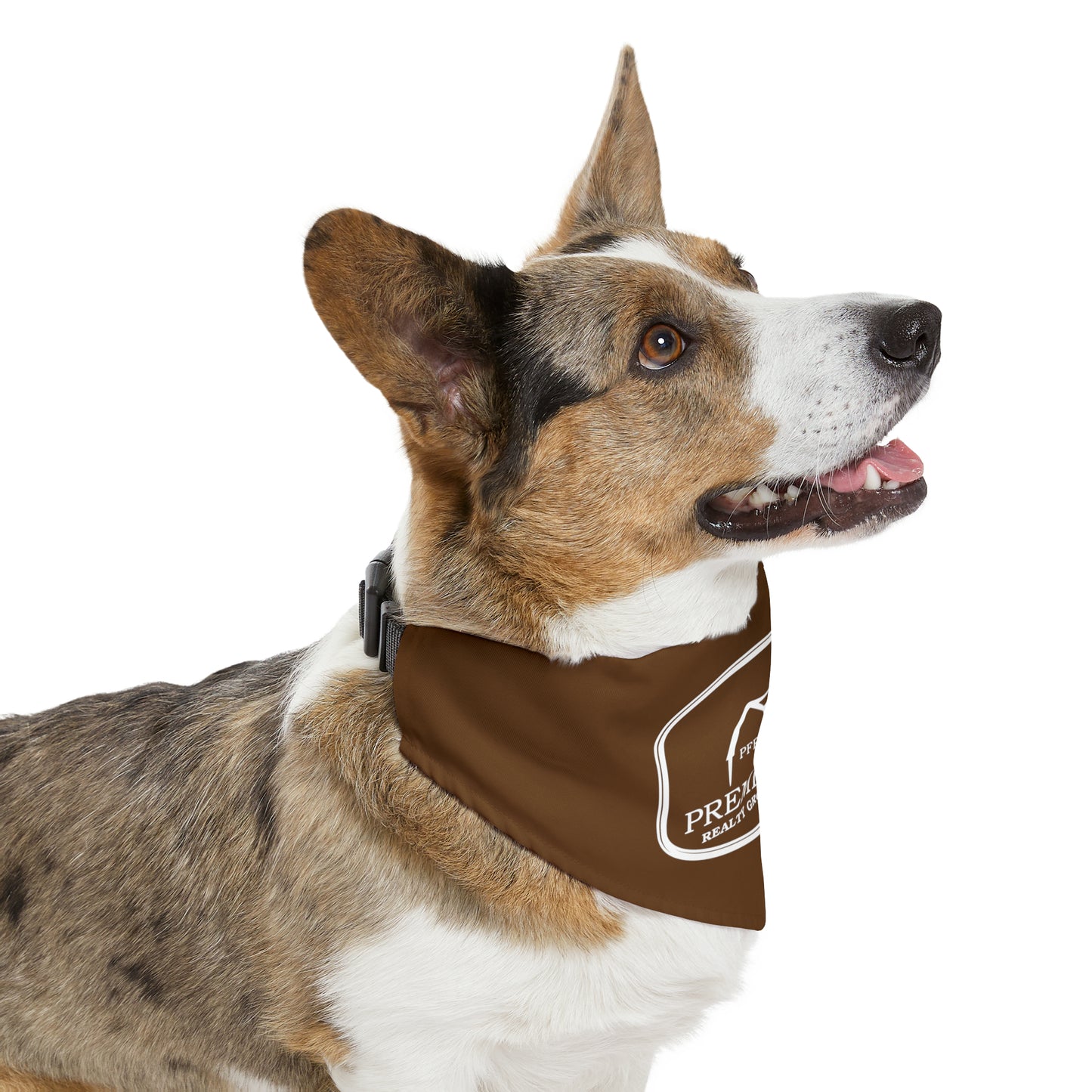 Pet Bandana Collar - Farm