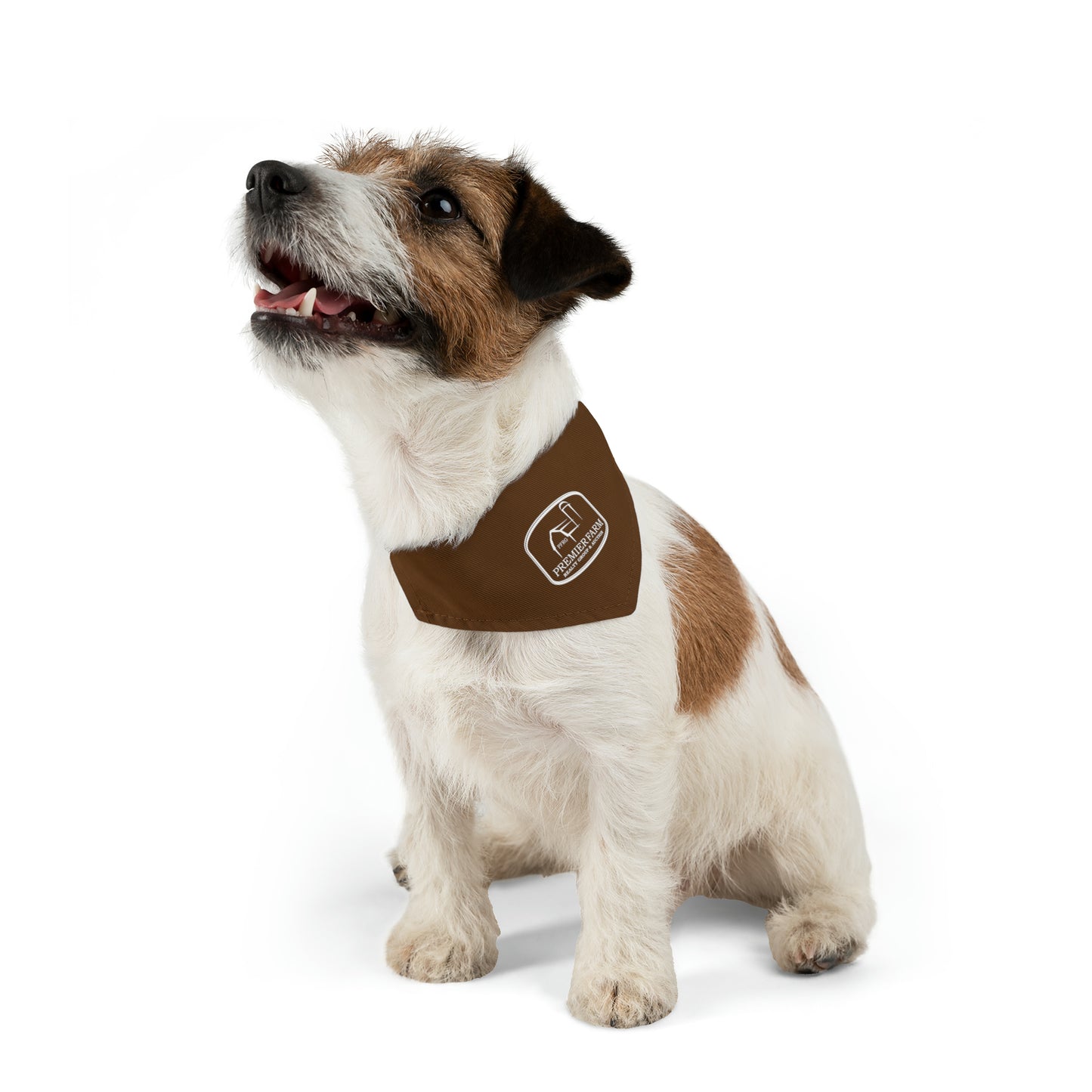 Pet Bandana Collar - Farm