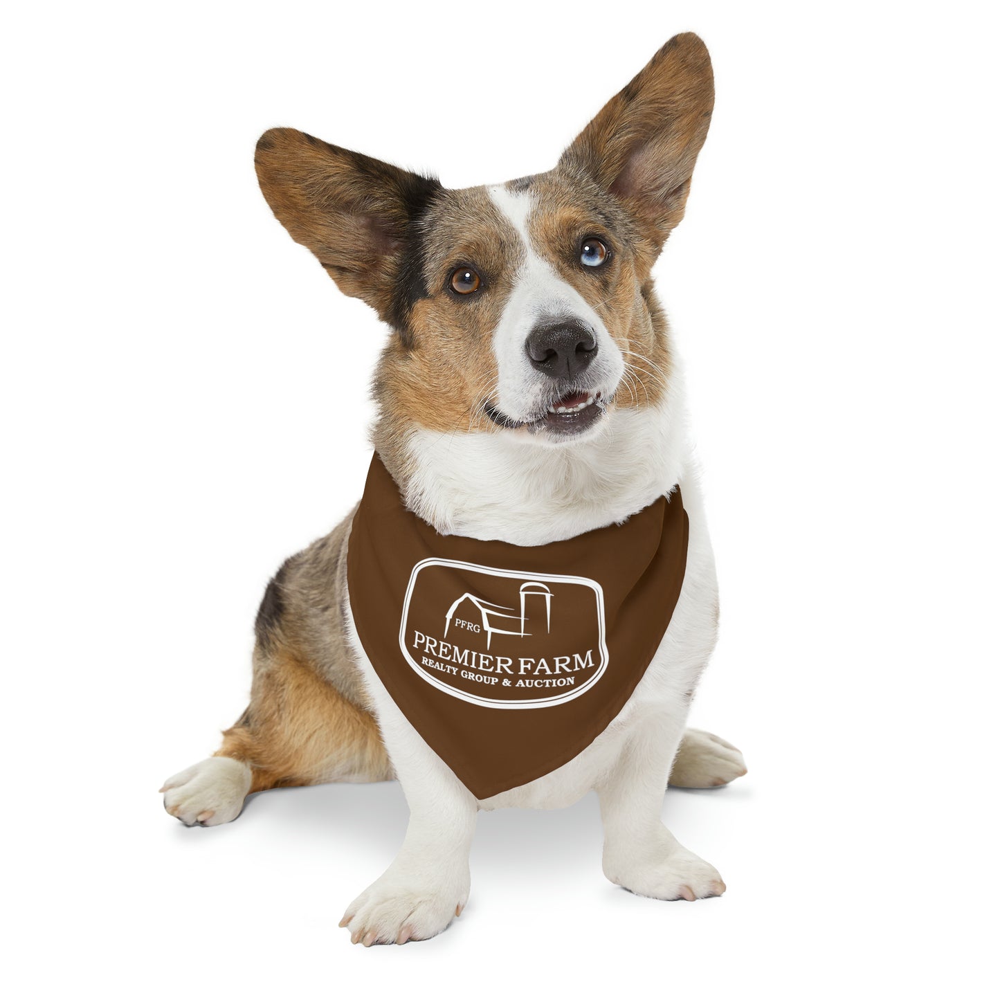 Pet Bandana Collar - Farm
