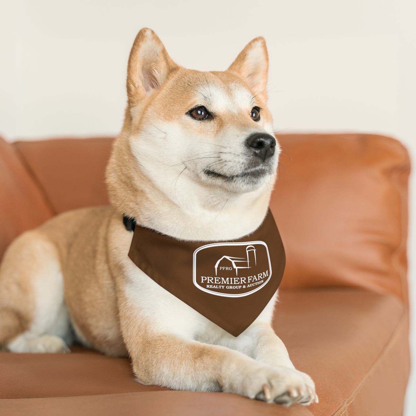 Pet Bandana Collar - Farm