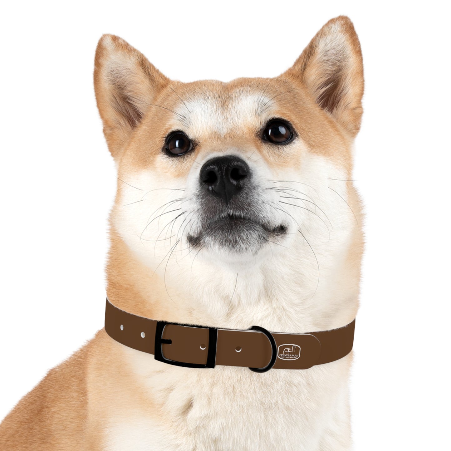 Dog Collar - Farm